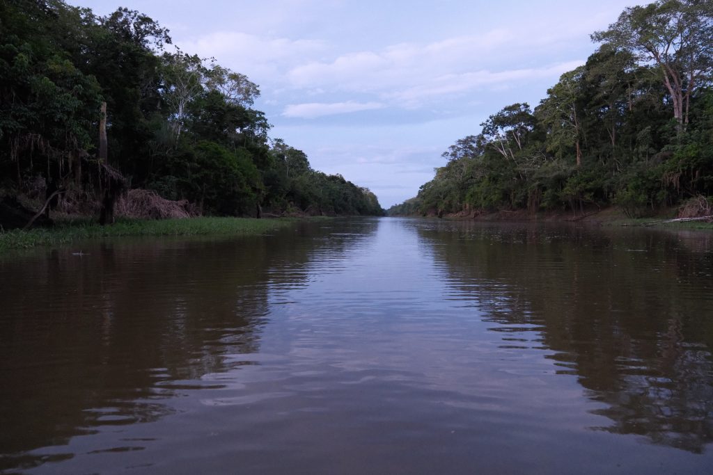Quiet Amazon River tributary surrounded by rainforest in Peru