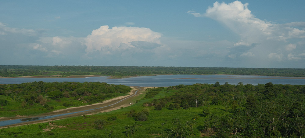Amazon rainforest and river landscape surrounding Iquitos, Peru