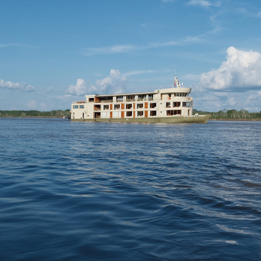 Eye-level on the Amazon
