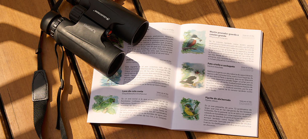 Black binoculars beside an open illustrated bird guide on a wooden deck.