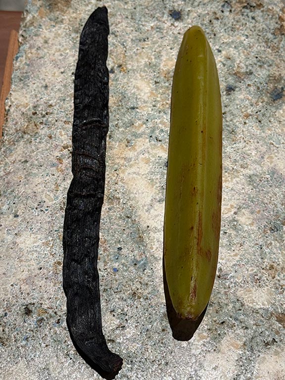 A dark dried pod and a green pod displayed side by side on a textured rectangular plate.